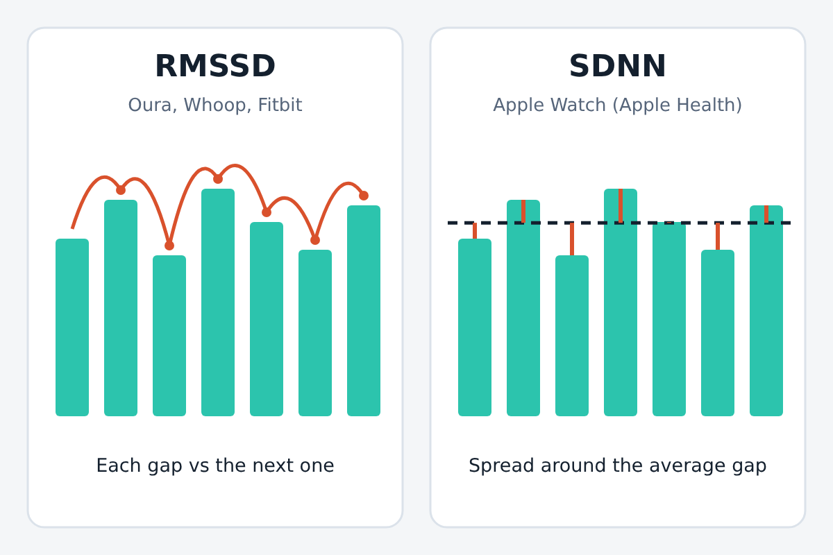 Illustration comparing two HRV methods on the same bars of beat gaps. RMSSD (Oura, Whoop, Fitbit) links each gap to the next one; SDNN (Apple Watch, Apple Health) measures each gap's distance from a dashed average line.